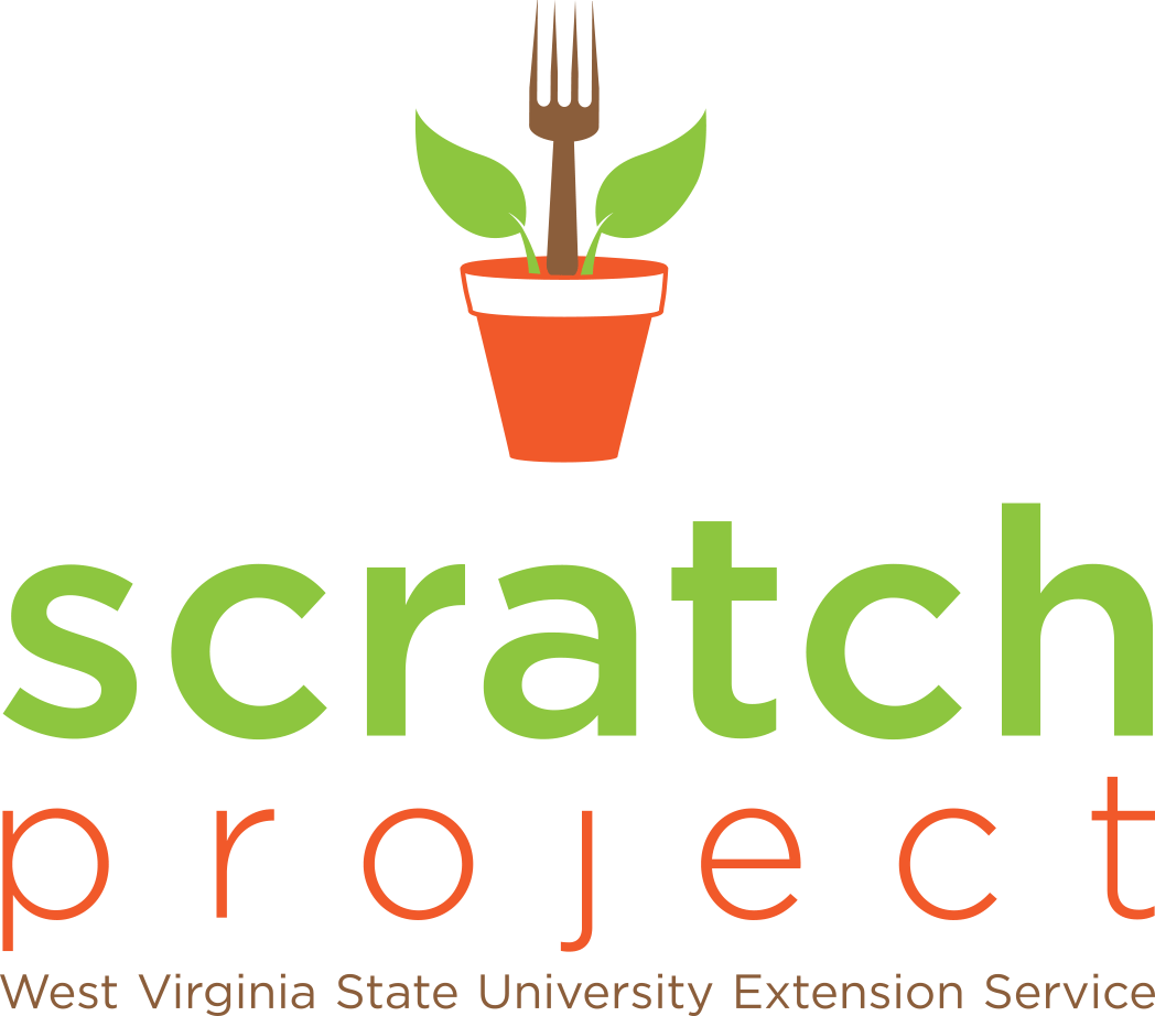 Scratch Project Logo